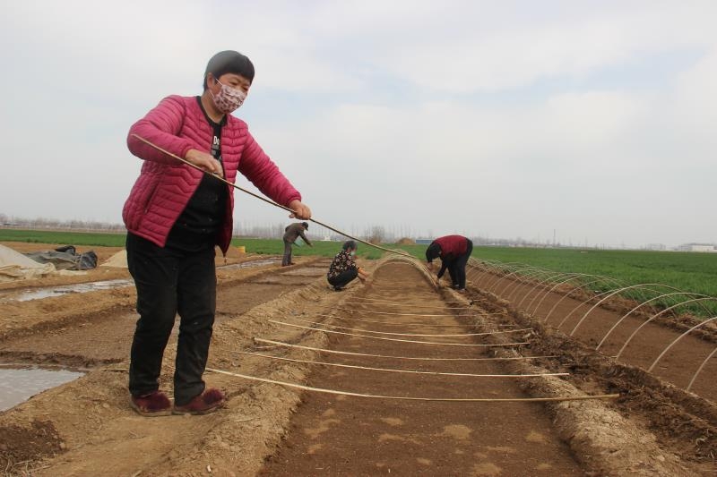 疫情防控、春耕生產(chǎn)兩手抓