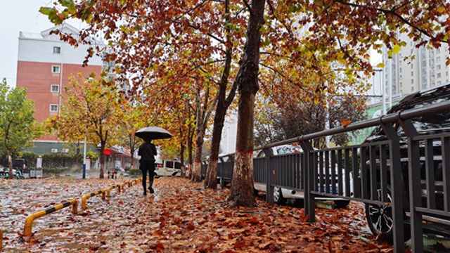 雨中周口，別有一番韻味