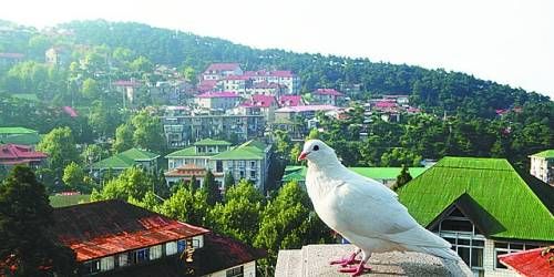  有著“云中山城”之稱的牯嶺鎮(zhèn)面臨著遷民下山。